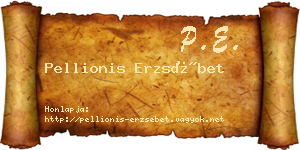 Pellionis Erzsébet névjegykártya